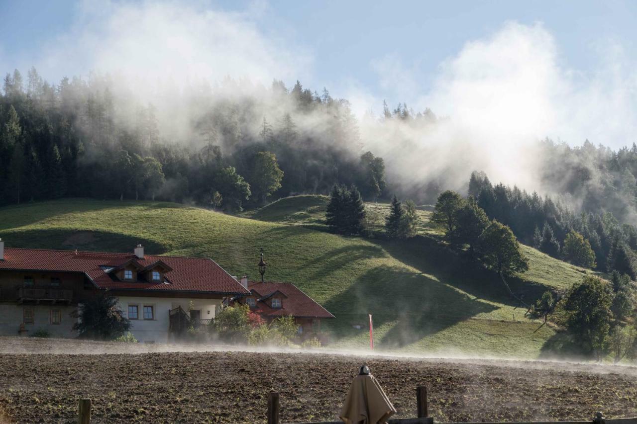 Haus Filzmoos Lägenhet Exteriör bild
